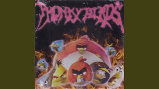 Cover art for phonky birdie