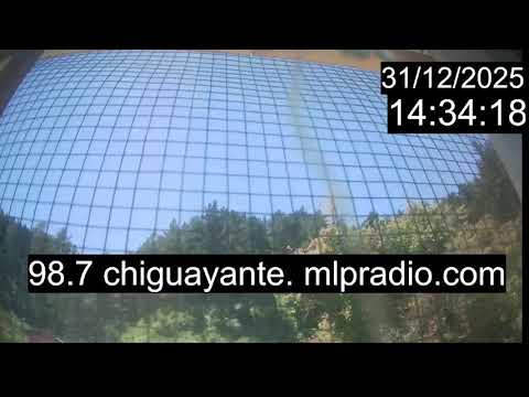 Chiguayante Bio Bio Chile, en Vivo. Live Cam, Camara en vivo.