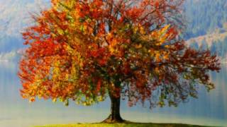 Oli Silk-  Seasons Change   [HQ]