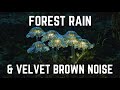 FOREST RAIN AND VELVET BROWN NOISE | 12 hours | Black Screen | No Midway Ads