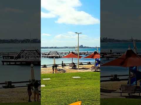 Geelong  Beach views#shortsvedios #beach #travelphotography #vic