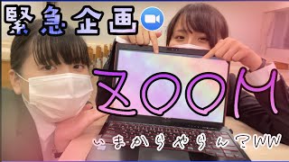 急にZOOM開いたら何人集まるの？？