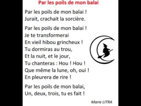 Par les poils de mon balai Marie Litra