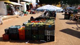 preview picture of video 'Wholesale market in Oxkutzcab'