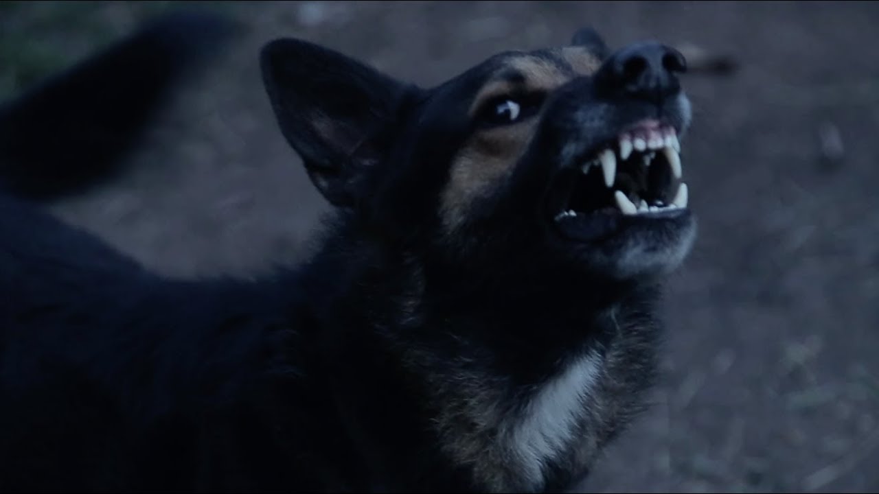 FEAR THY NEIGHBOR 4x05 – "Pack Mentality" – Teaser
