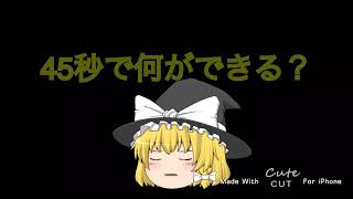 【東方PV】「45秒」低クオリティー