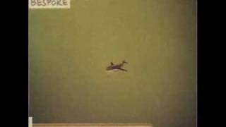 Speeka - Olive Branch