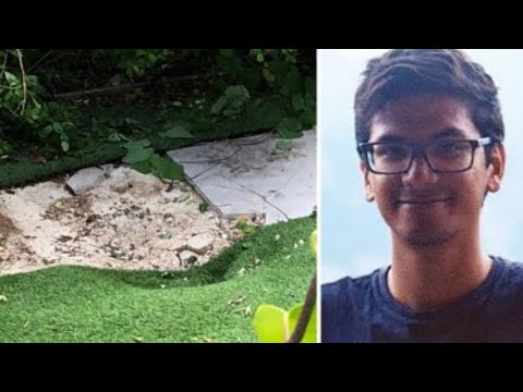 Kenya Airways jet stowaway falls 3,500ft and lands 3ft from sunbather near London Heathrow Airport