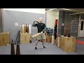 Indian Clubs Hungary 5 5 Kg Short Persian Meel Test