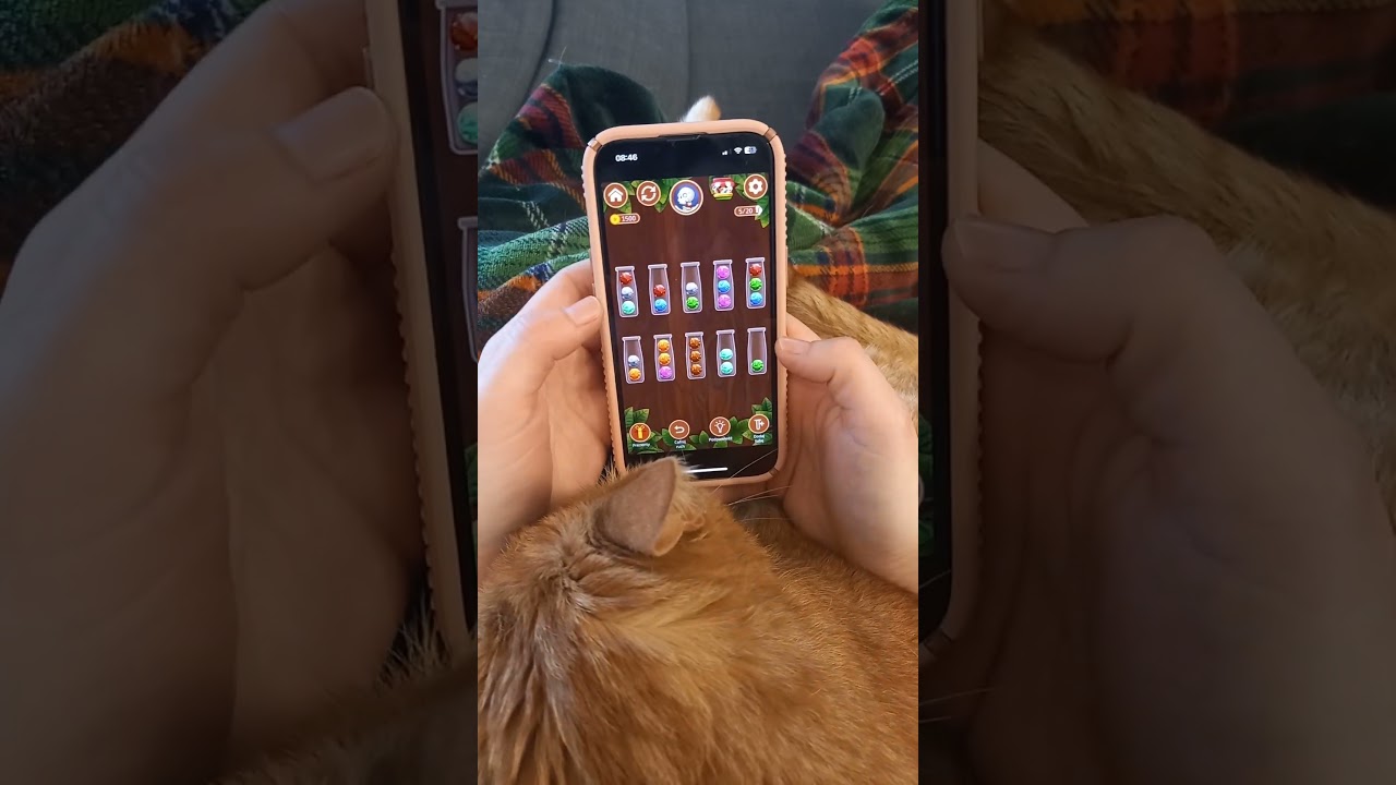 Ball Sort Master - sorting balls puzzle game