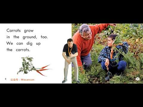 09 G1 Onde as coisas crescem