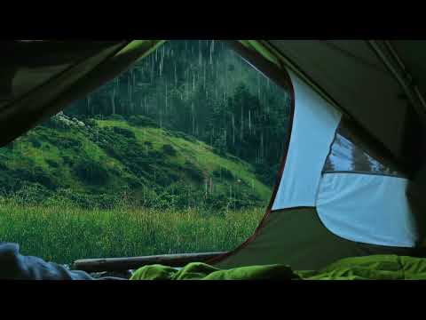 Rainy Wilderness and Tent | Sound of Rain, Outdoors, Woods | Rain Hitting Tent Sound | White Noise