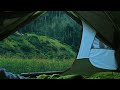 Rainy Wilderness And Tent Sound Of Rain Outdoors Woods Rain Hitting Tent Sound White Noise