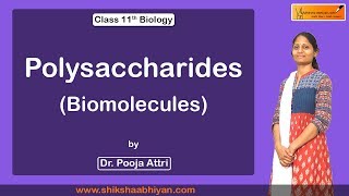 Polysaccharides - #CBSE Class 11 Biology
