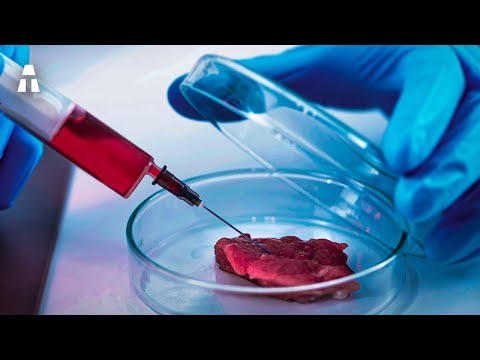 Como é Produzida a Carne Sintética?