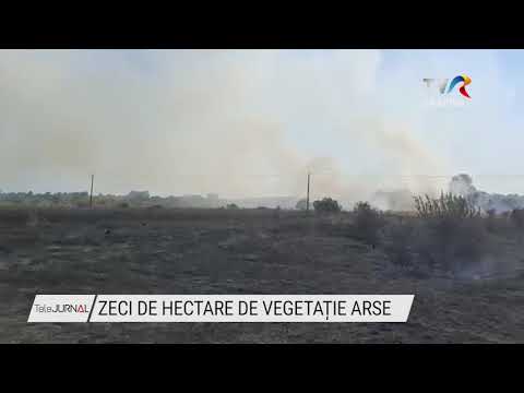 ZECI DE HECTARE DE VEGETAȚIE ARSE