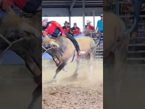 Diablo de Sola de Vega Oaxaca VS 7 Mares de Los Toros Tsunamis en Phoenix, Arizona #jaripeo