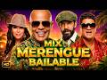 MIX MERENGUE BAILABLE VOL. 1 | Juan Luis Guerra, Olga Tañón, Eddy Herrera, Elvis Crespo y Más DEFAULT Thumbnail