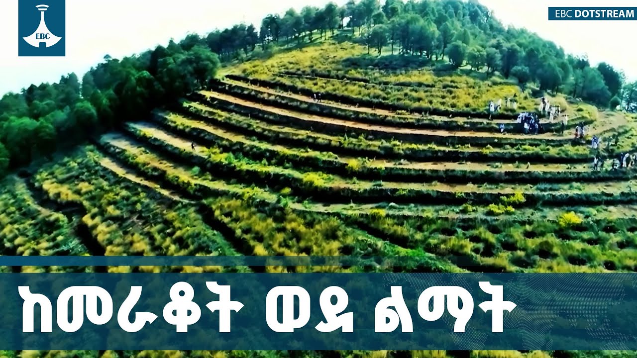 የተፋሰስ ልማት ሥራዎች የተራቆቱ መሬቶችን ወደ ልማት መልሷል | Nature | Conservation | ETV | EBC | E