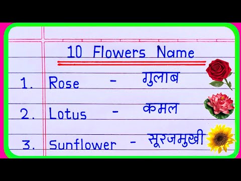 10 Flowers Name in english and hindi | Flowers Name | Flower Name | फूलों के नाम | phoolon ke naam