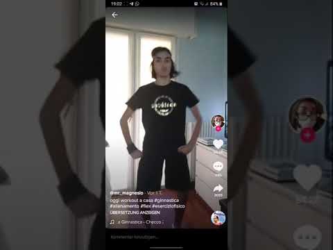 alessandro andreini tik tok collegio 5