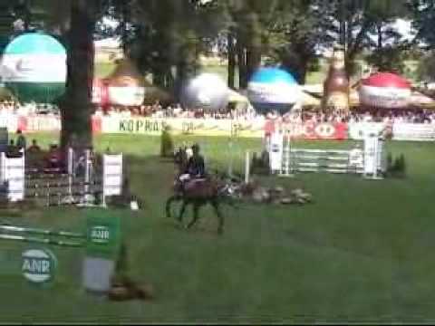 wkkw, Vacat JP, Marta Dziak, HSBC WorldCup FEI, Strzegom 2009