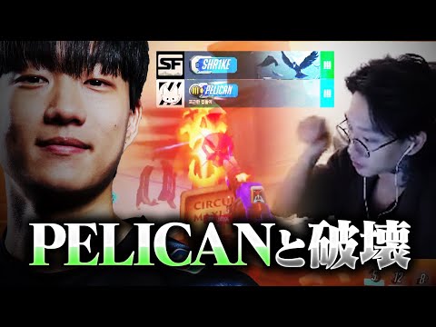 ZETA PELICAN, the godly IGL, and ANS, the interpreter. [Overwatch 2]