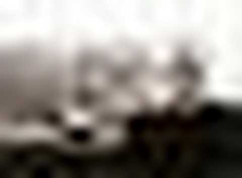 Abbott and Chambers - Where Are You [Dennis Sheperd Remix]