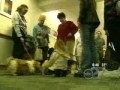 KPETS ABC News 2006