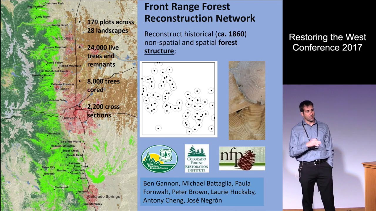 Forest Structure Outcomes After Mixed-Severity Wildfire: Do They Meet Restoration Goals? (RTW 2017)