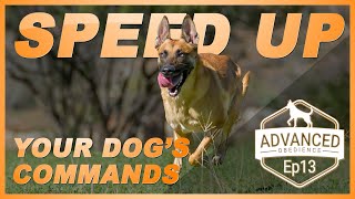 How to Speed Up Your Dogs Commands. Advanced Obedience Ep13