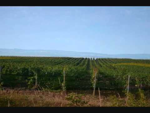 Vlasta Redl a Jiri Pavlica - A vy pani muzikanti...