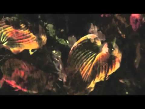 Bomb The Bass - So Special (Video)Demo version