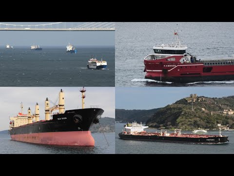 Ship Spotting Istanbul Strait - 2024 (Part 2)