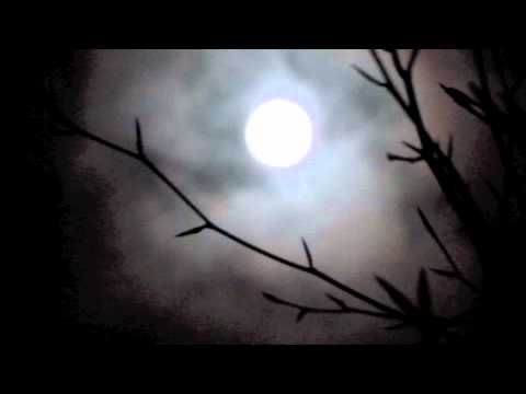 The Story Of Creation... told by Eric Maddern at the Hibbert Lecture, Manchester 1997