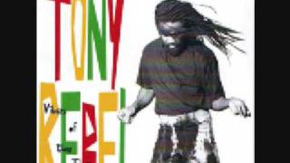 Tony Rebel - My Way Or The Highway  feat  Diana King