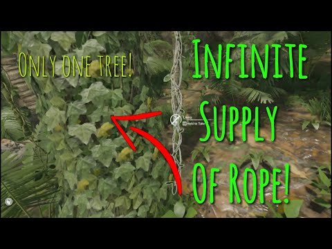 20 Quick Tips Green Hell