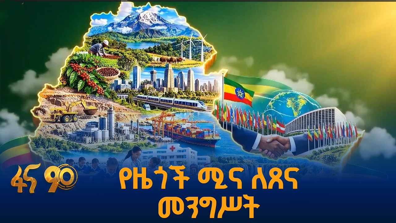 መንግሥት ብቻውን ...