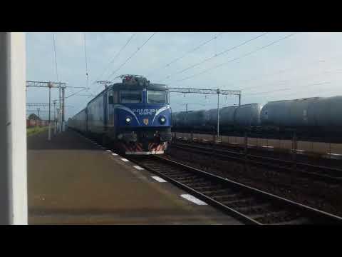 Puma cu un tren IR fără oprire în brazi