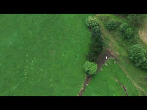 En La Oteda Tineo Asturias