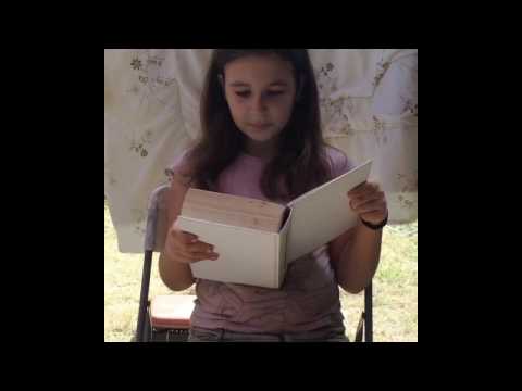 Katerina is reading the Steve Jobs biography by Walter Isaacson.