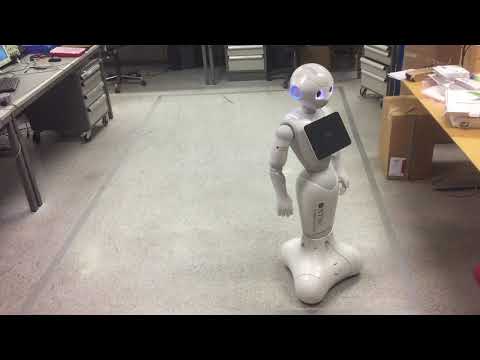 Zigzag path navigated  by Pepper