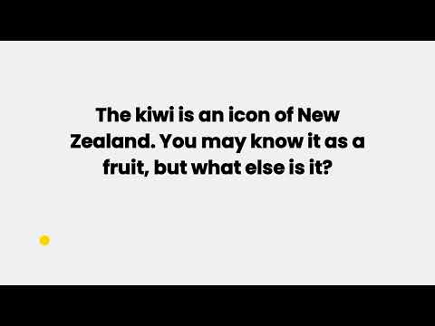 The kiwi is an icon of New Zealand. You may know it as a fruit, but what else is it?