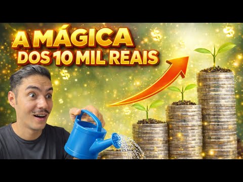 Investimentos e organização financeira: entenda a estratégia