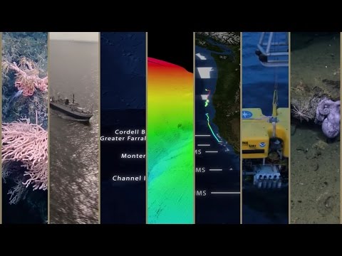 Expedition in 60 Seconds: Mapping West Coast National Marine Sanctuaries