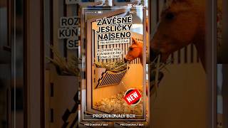 Jesličky na seno závěsné malé 