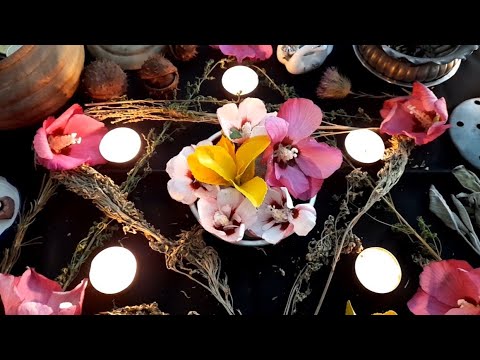 Мабон 🌞 Колесо 2022 года 🌛🌝🌜 Почему в моем алтаре цветок Мальвы? 🌺