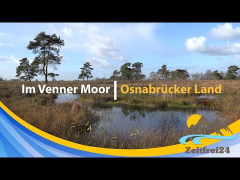 TERRA.tipp | Wanderung im Venner Moor | Moorlehrpfad | Osnabrücker Land | 4K