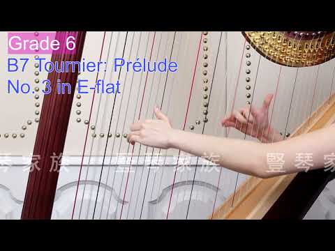 [豎琴家族-荃灣及沙田分店] 英國皇家音樂學院豎琴考試Grade6 B7.mp4! #學豎琴 #豎琴班 #豎琴課程