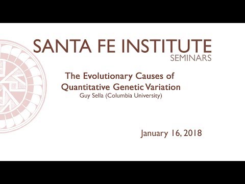 The Evolutionary Causes of Quantitative Genetic Variation